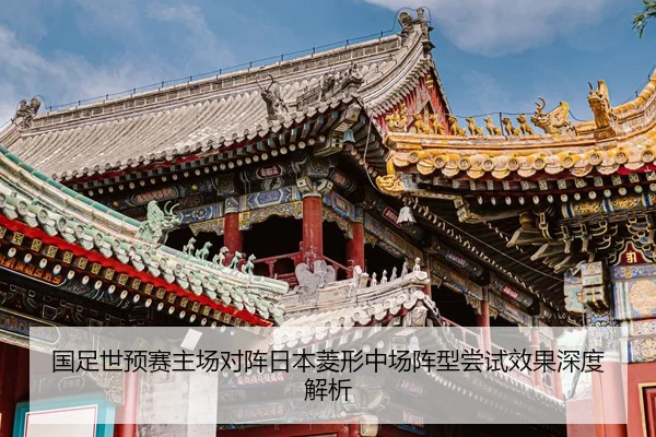 guo-zu-shi-yu-sai-zhu-chang-dui-zhen-ri-ben-ling-xing-zhong-chang-zhen-xing-chang-shi-xiao-guo-shen-du-jie-xi-2-247.jpg