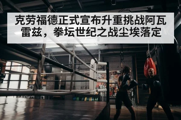 boxer training