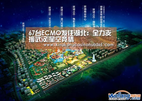 67台ECMO发往湖北:全力支援武汉|星空竞猜(图2) 星空竞猜