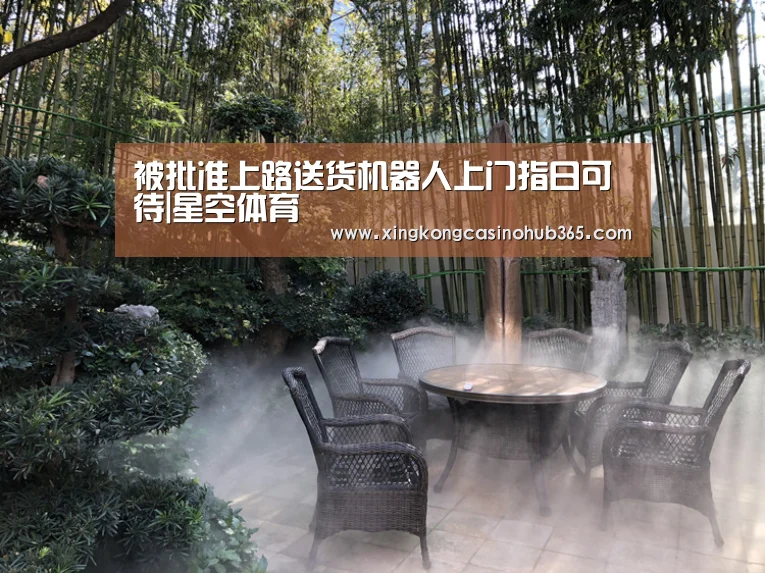 被批准上路送货机器人上门指日可待|星空体育(图1) 星空官网