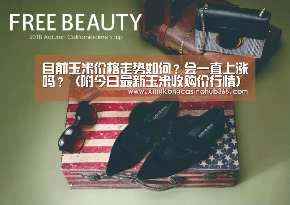 目前玉米价格走势如何?会一直上涨吗?(附今日最新玉米收购价行情)|星空竞猜(图3) 星空真人