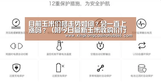 目前玉米价格走势如何?会一直上涨吗?(附今日最新玉米收购价行情)|星空竞猜(图2) 星空竞猜