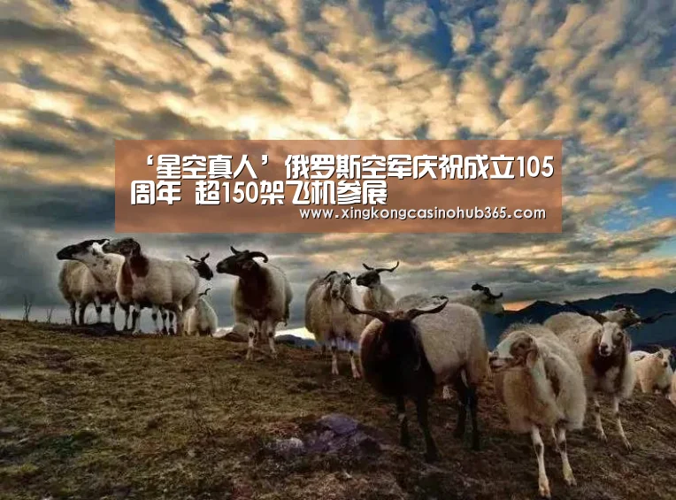 ‘星空真人’俄罗斯空军庆祝成立105周年 超150架飞机参展(图2) 星空真人