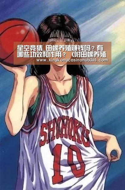 星空真人